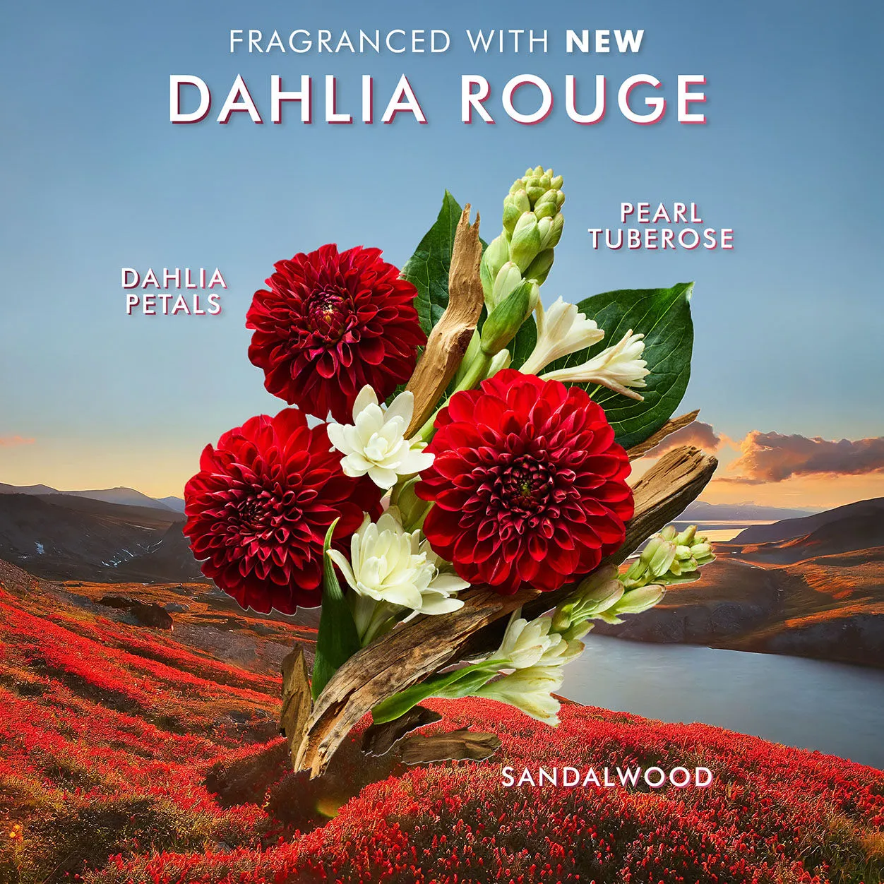 Dahlia Rouge Hand Wash