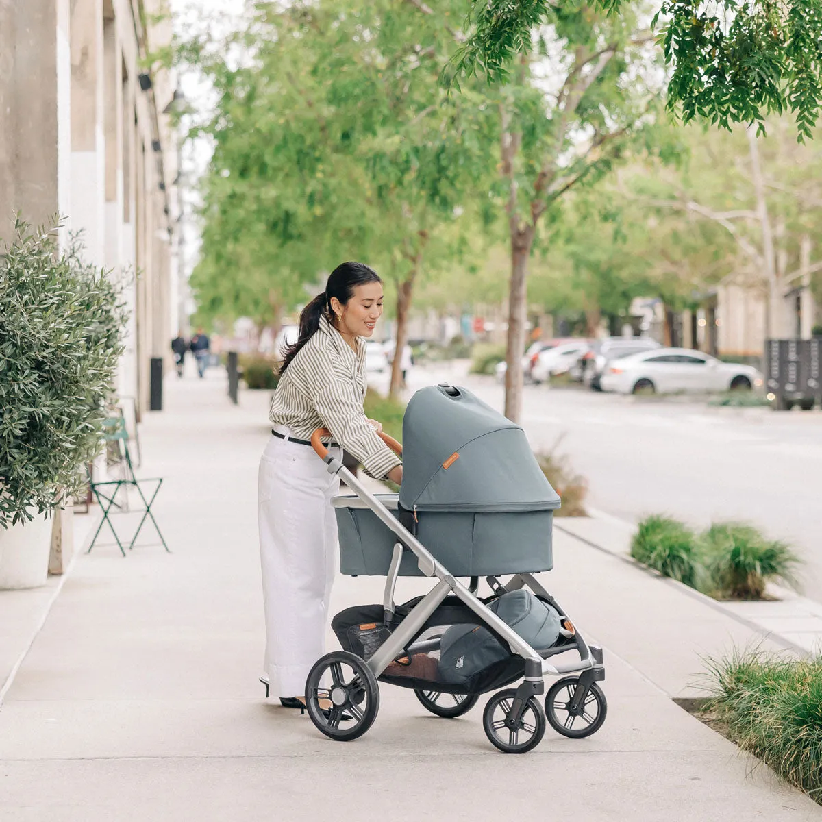 UPPAbaby VISTA V3 Stroller