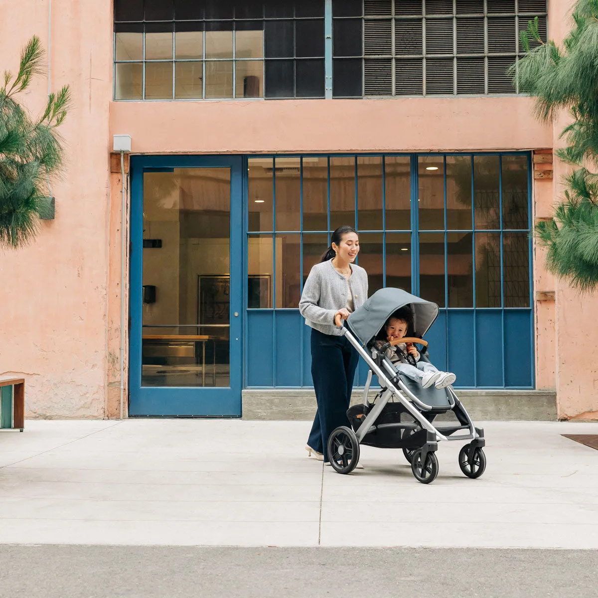 UPPAbaby VISTA V3 Stroller